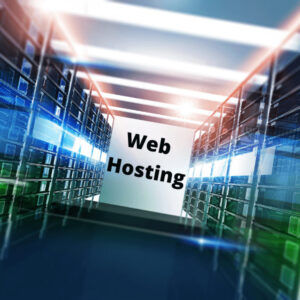 Web Hosting & Maintenance for your Business Website